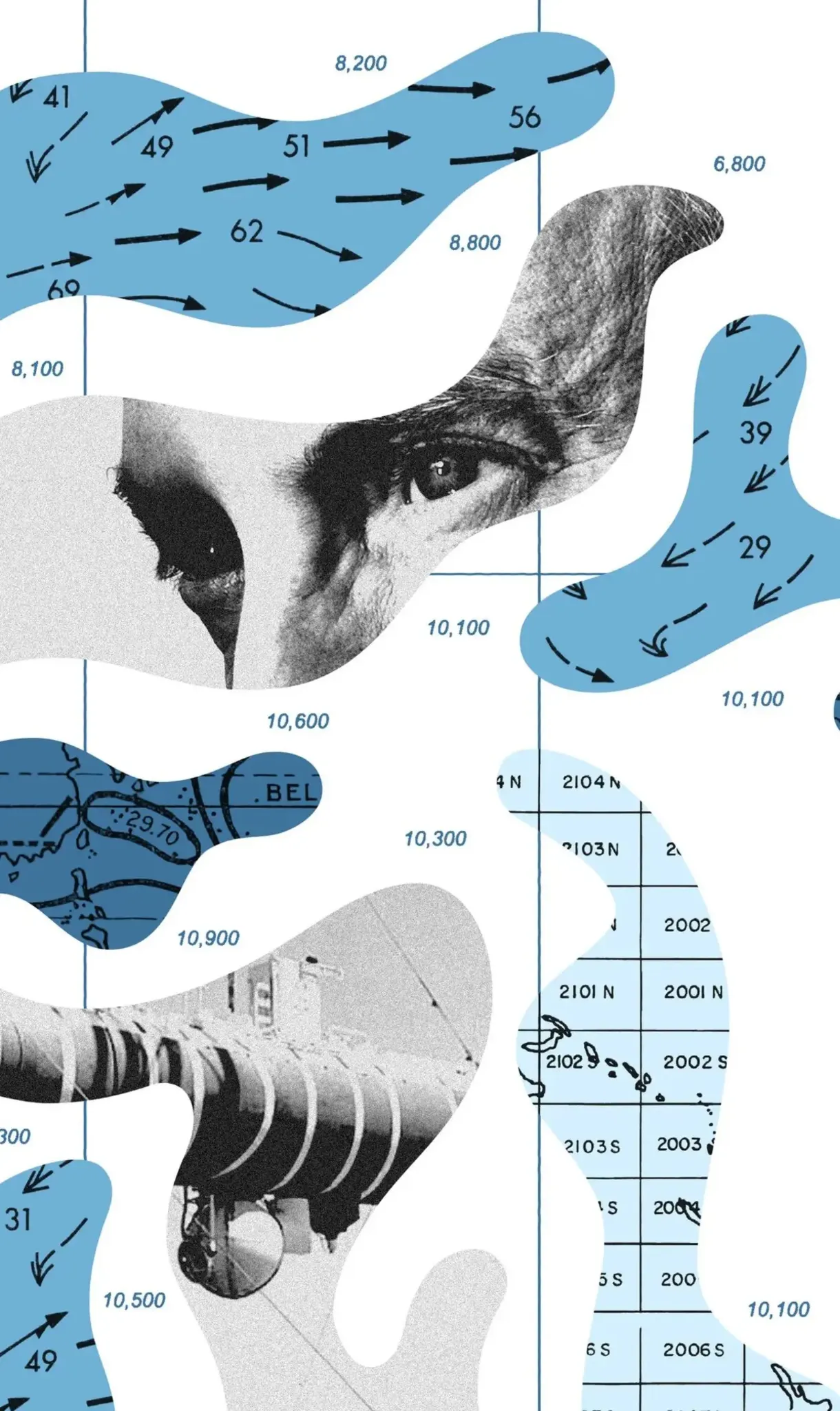 Collage grafico NOMAD con mappe, coordinate e dettagli fotografici